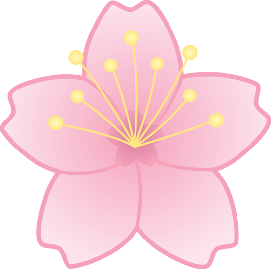 Pink Cherry Blossom Flower - Free Clip Art