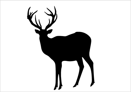 Deer Silhouette Graphics Silhouette Graphics