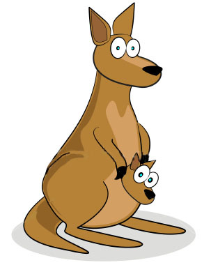 Pix For  Kangaroo Pouch Cartoon