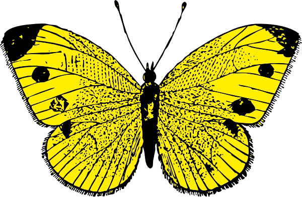 Yellow Butterfly clip art Free Vector 