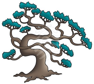 Old pine tree - clipart #