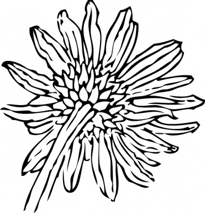 Back Of A Sunflower clip art - Download free Other vectors