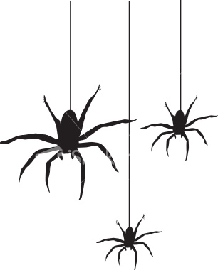 Halloween Spiders Clipart