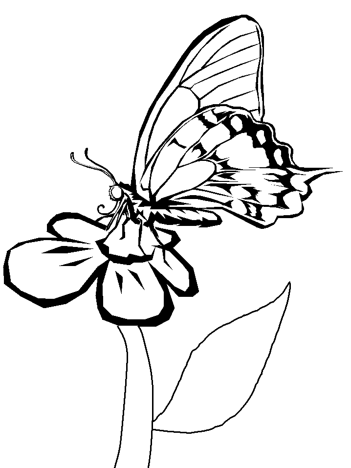 Butterflies flower Coloring Page | Coloring Pages