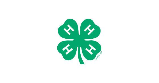 4-H - Positive Youth Development and Mentoring Organization