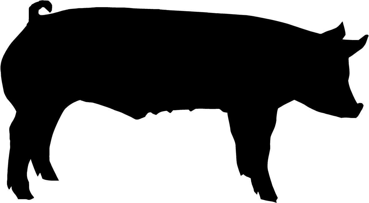 Show Pig Silhouette Images  Pictures - Becuo