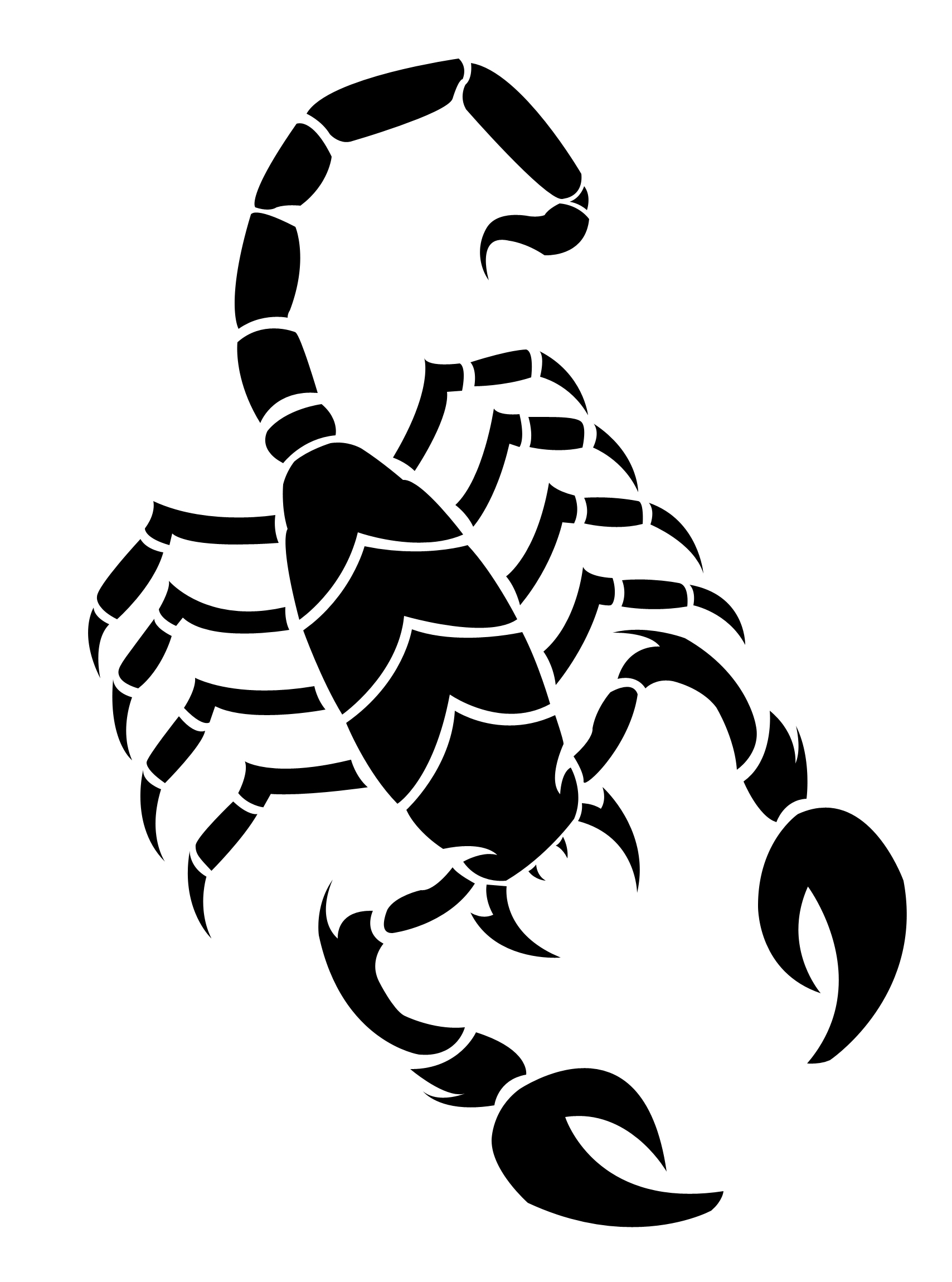 Scorpion Drawing - Clipart library