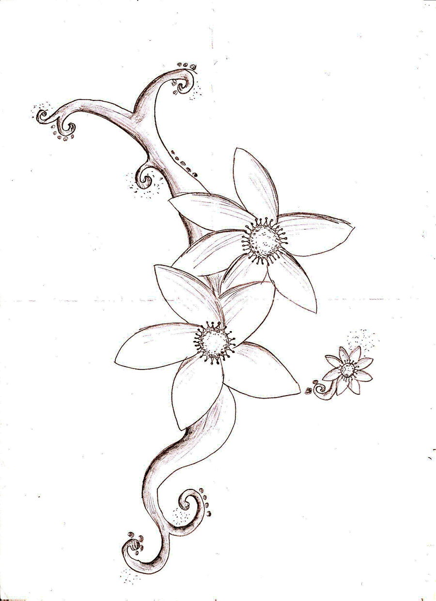 Free Simple Flower Sketch, Download Free Simple Flower Sketch png