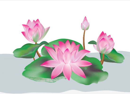 Featured image of post Lotus Flower Drawing Images With Colour - In nature, lotuses may be white, red, pink, purple, yellow, or a the complete lotus flower drawing tutorial in one image.