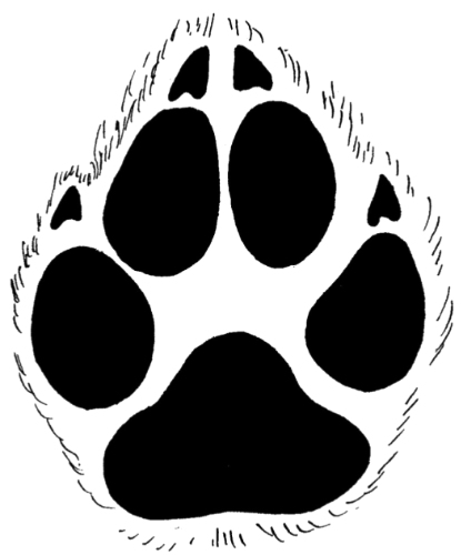 Free Wolf Paw Print, Download Free Wolf Paw Print png images, Free on Clipart Library