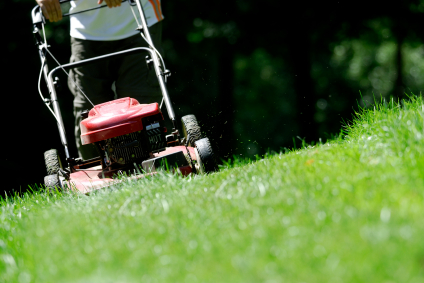 Mow Masters? Lawn Care, LLC