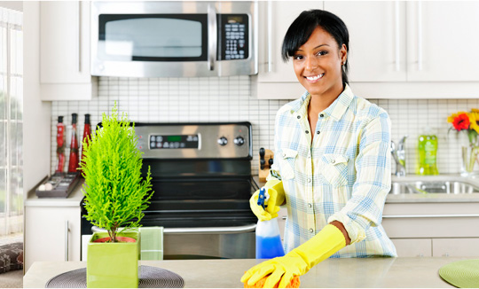 Premium House Cleaning Los Angeles | Professional Cleaning