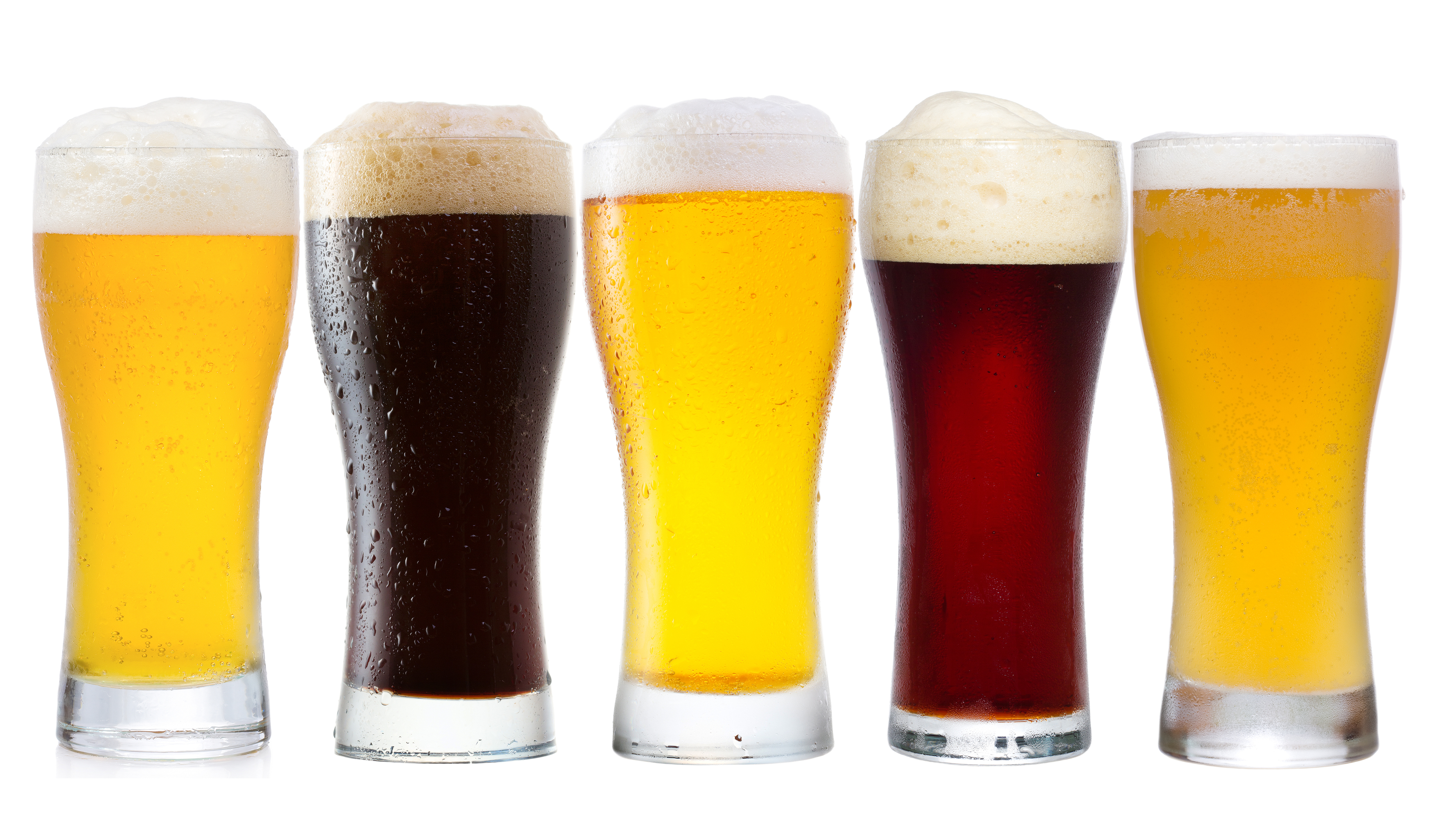 Brewing Beer Styles-Department of Food Science | University of 