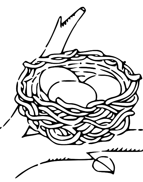 clipart of nest - photo #34