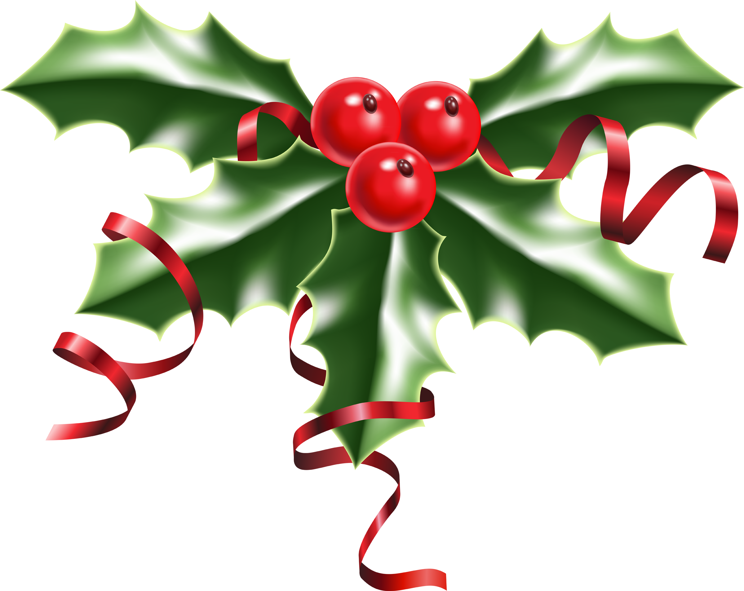 Christmas-Holly-Pictures-1-2.png