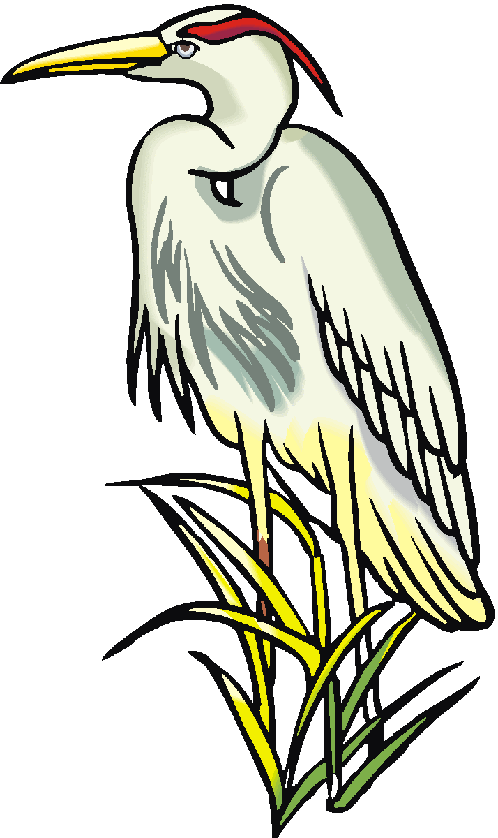 Heron Clipart | Clipart library - Free Clipart Images