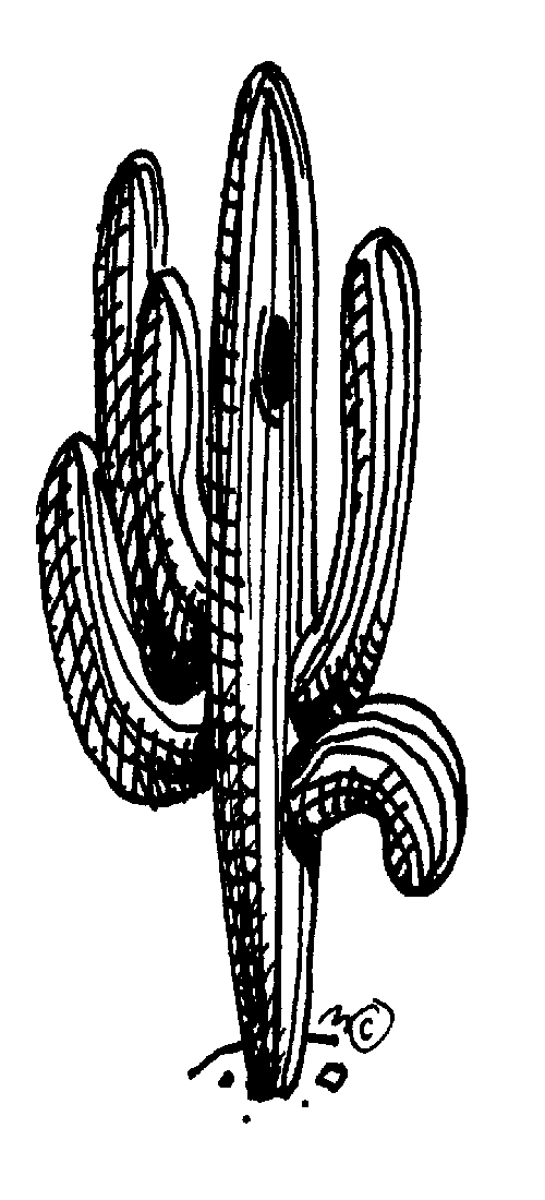 cactus - Clip Art Gallery