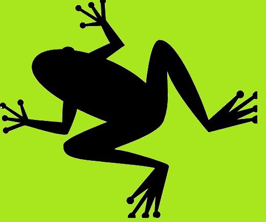 Pix For  Jumping Frog Silhouette