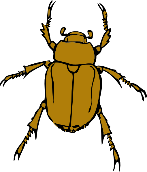 Insect 20clipart | Clipart library - Free Clipart Images