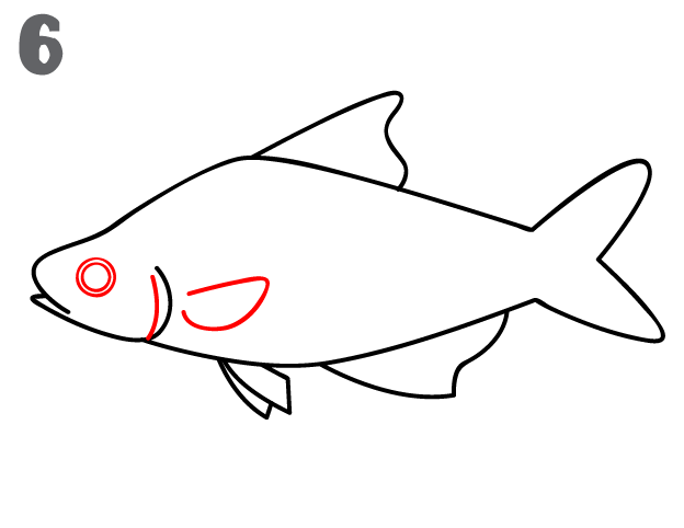 How To Draw a Fish - Step-by-Step