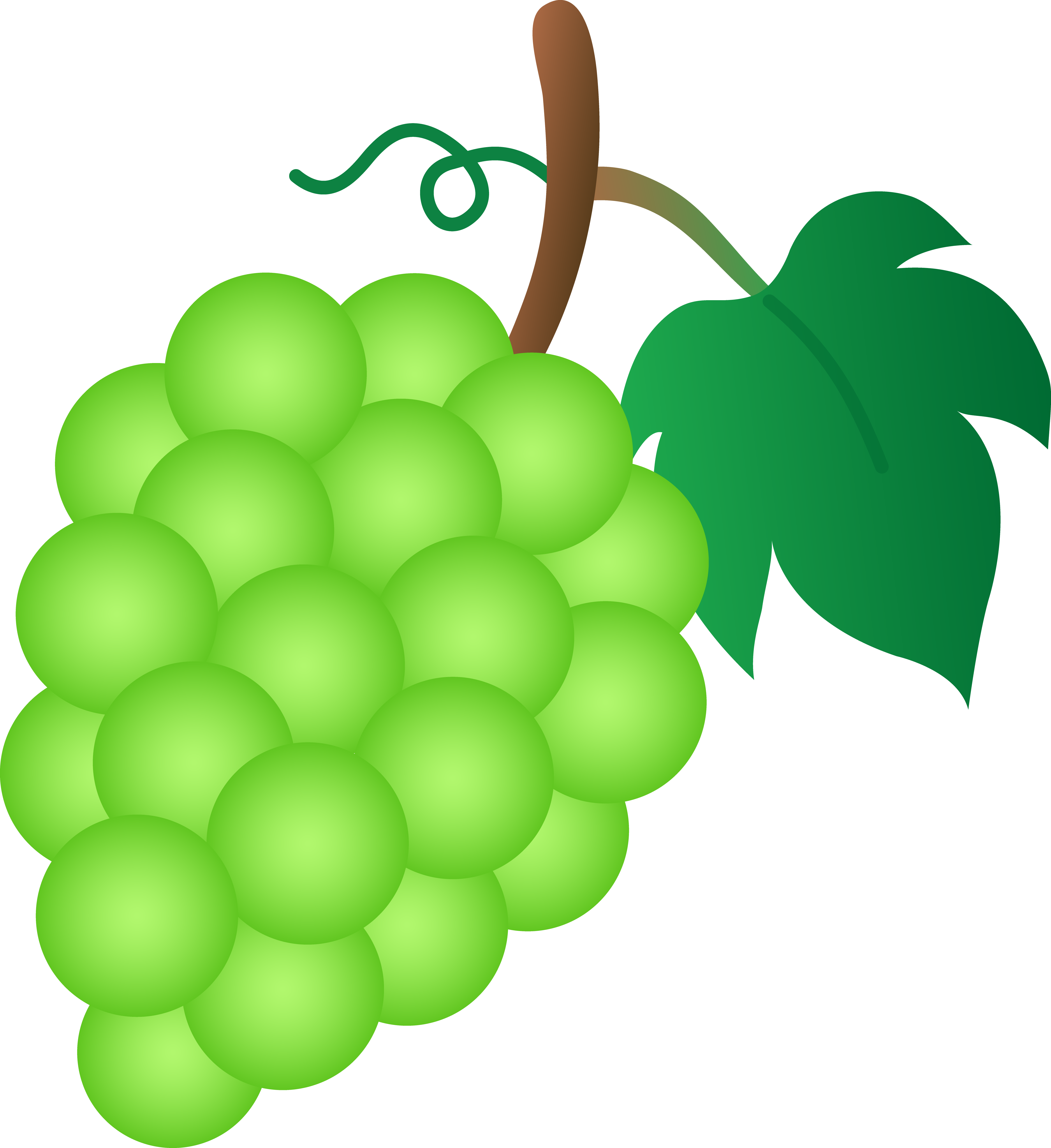 Bunch of Green Grapes - Free Clip Art