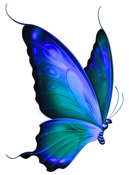 Blue Butterflies Images - Clipart library