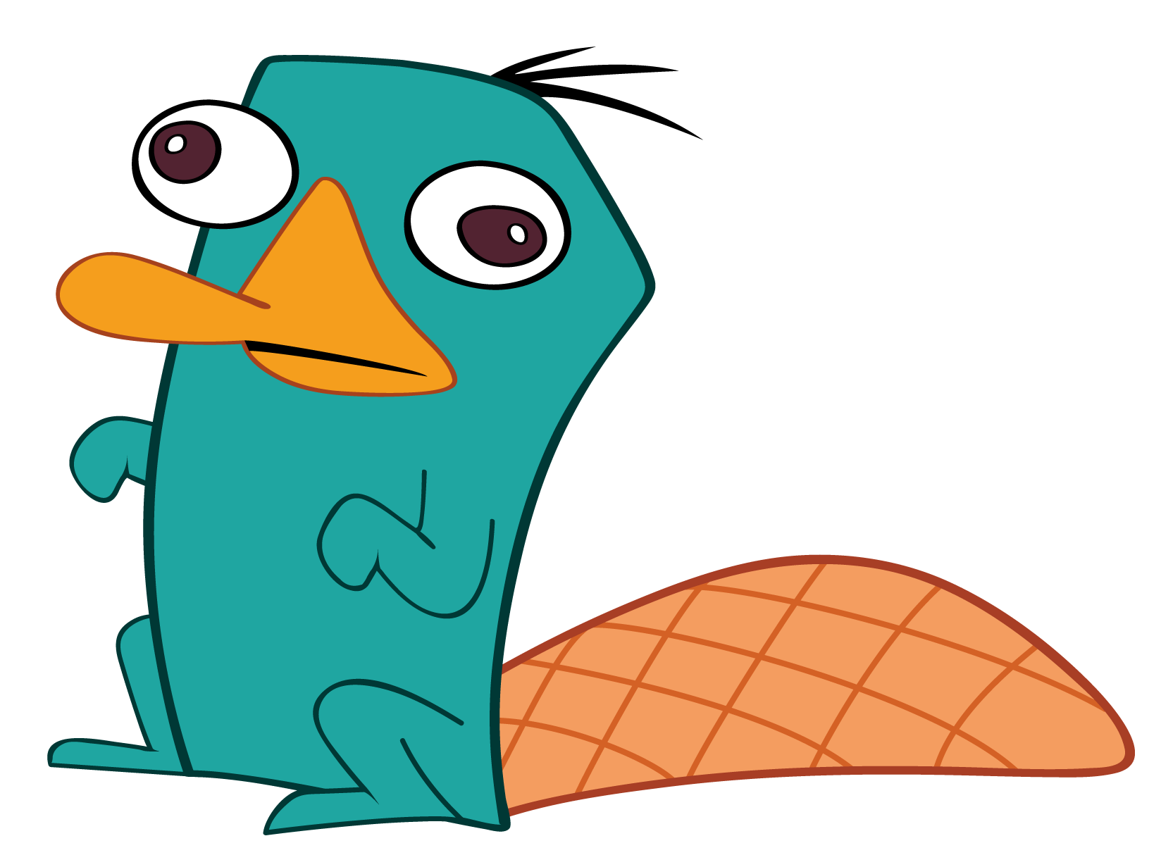 Free Cartoon Platypus Pictures, Download Free Cartoon Platypus Pictures png  images, Free ClipArts on Clipart Library