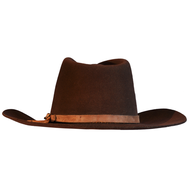 Brown Stetson and Leather Trim Cowboy Hat | Races Hats, Wedding 