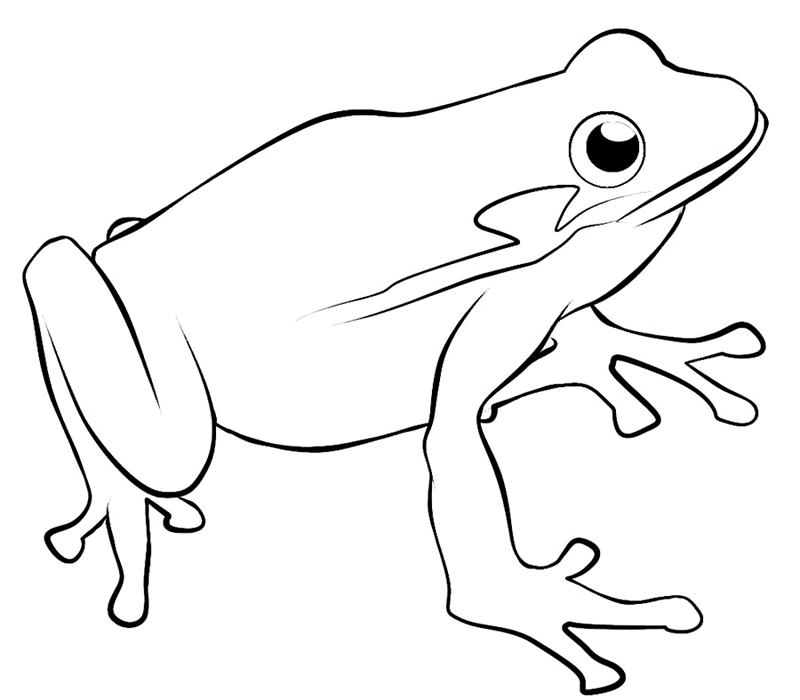 Frog On A Log Clip Art Black And White | Clipart library - Free 