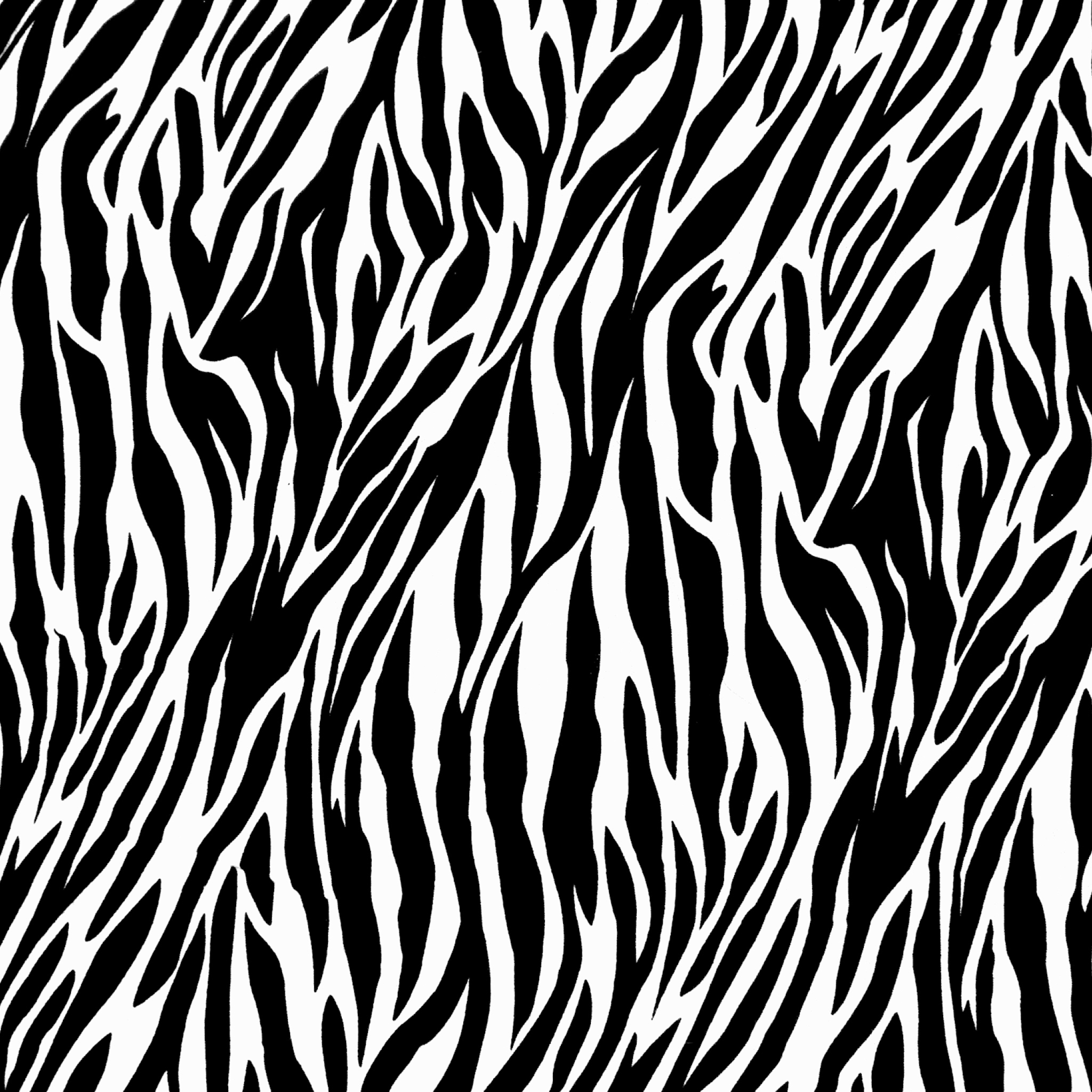 zebra print clip art - photo #14