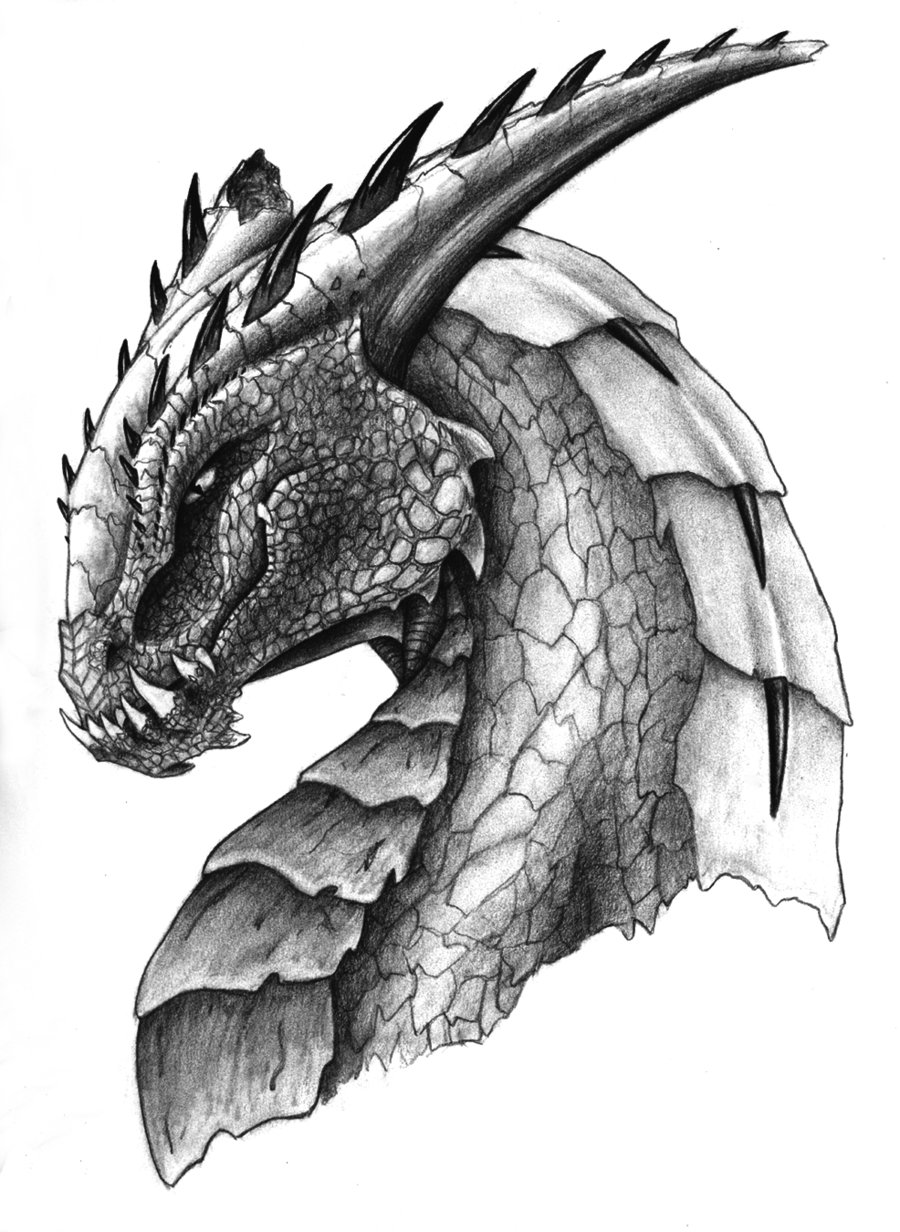 Image gallery for : fantasy drawing dragon