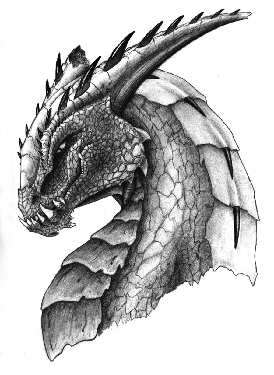 Featured image of post Pencil Amazing Dragon Drawings / Ink and pencil animal drawings.