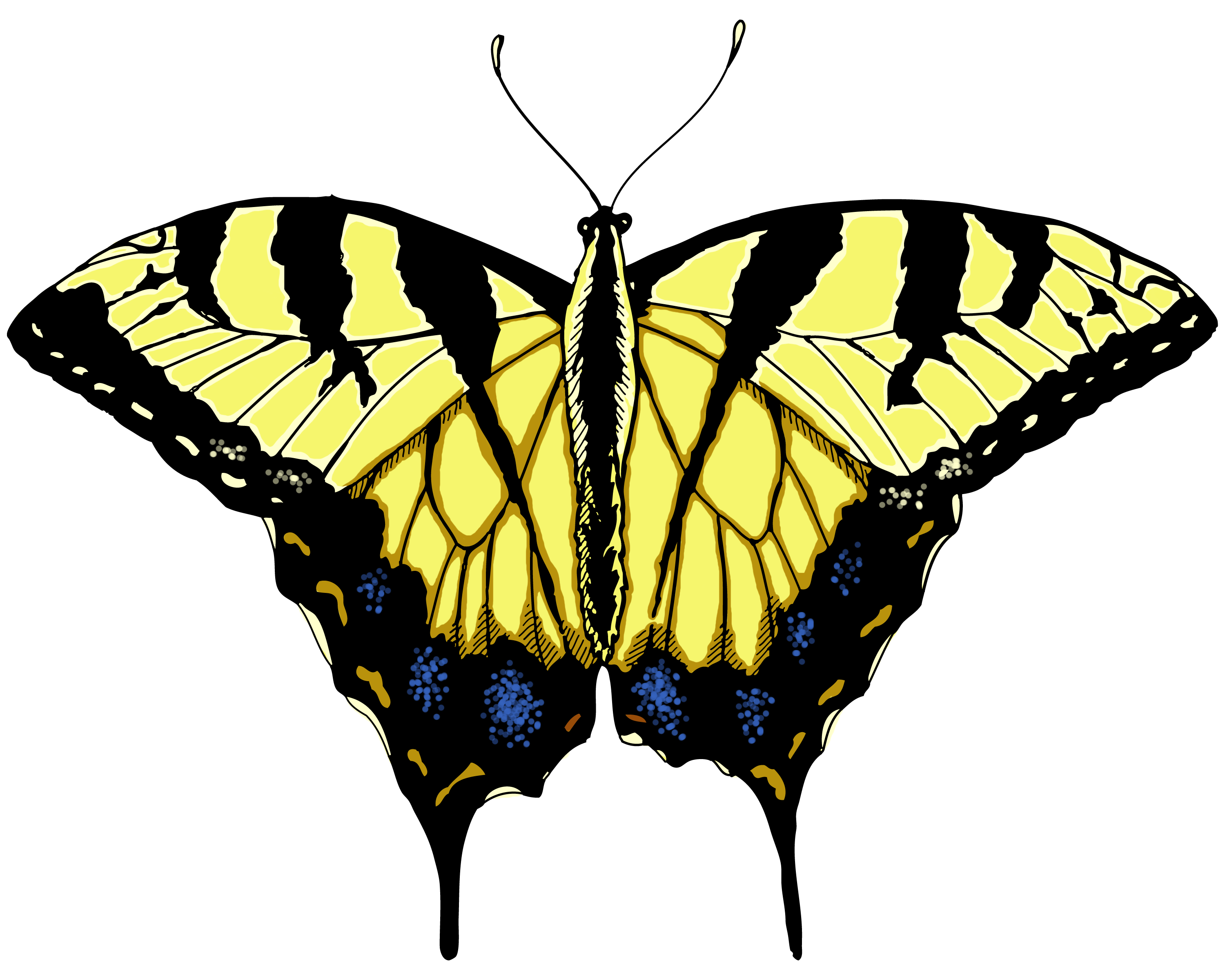 animated monarch butterfly clip art free - photo #41
