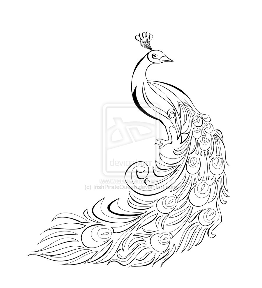 free black and white peacock clipart - photo #19