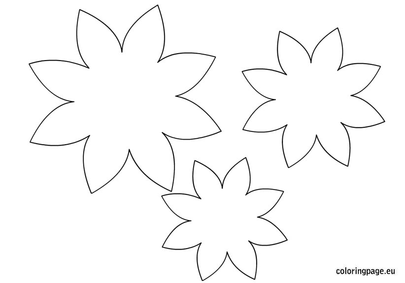 Flower Template | Coloring Page