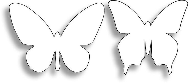 Butterfly Outline Pattern | butterflies :: pics ideas designs 