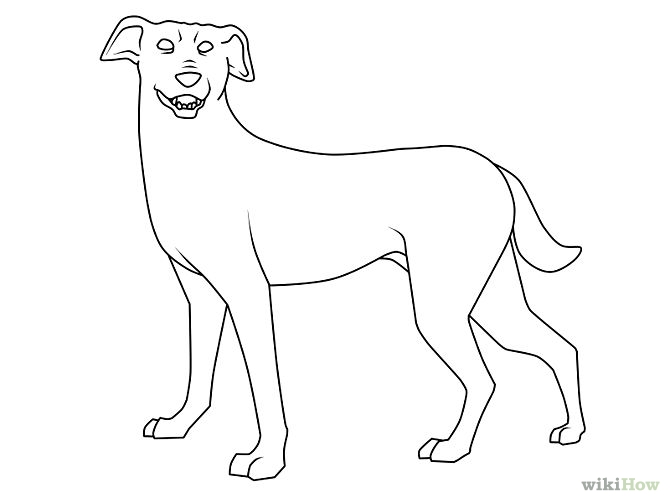 5 Easy Ways to Draw a Dog (with Pictures) - wikiHow