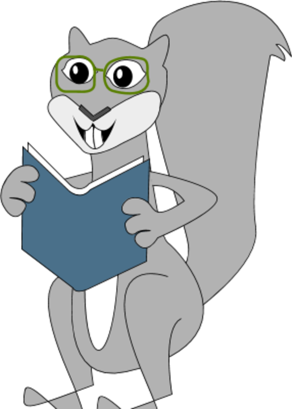 squirrel reading a book - vector Clip Art