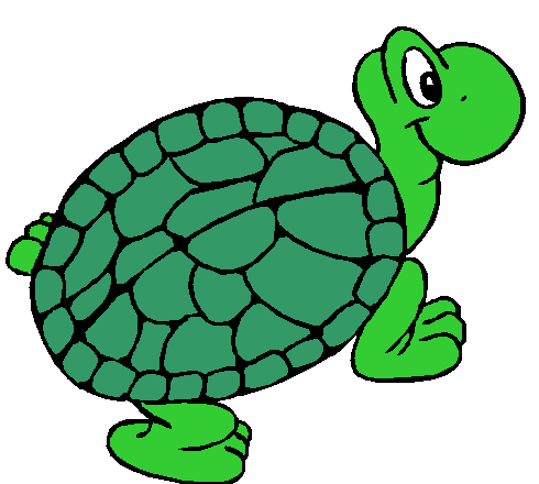 Pictures Of Cartoon Turtles 