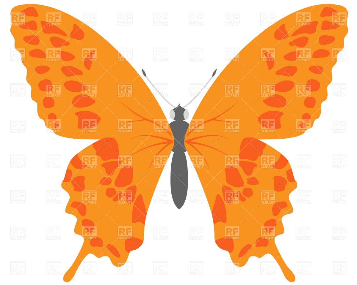 Butterfly, Plants and Animals, download free vector clip art