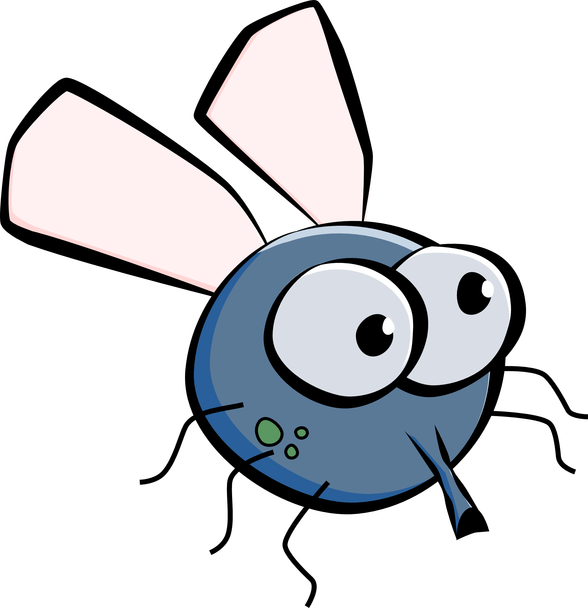 Cartoon Pictures Of Flies 