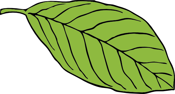 Free Cartoon Leaves, Download Free Cartoon Leaves png images, Free ClipArts  on Clipart Library