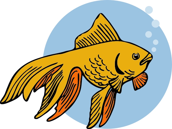 Goldfish-001
