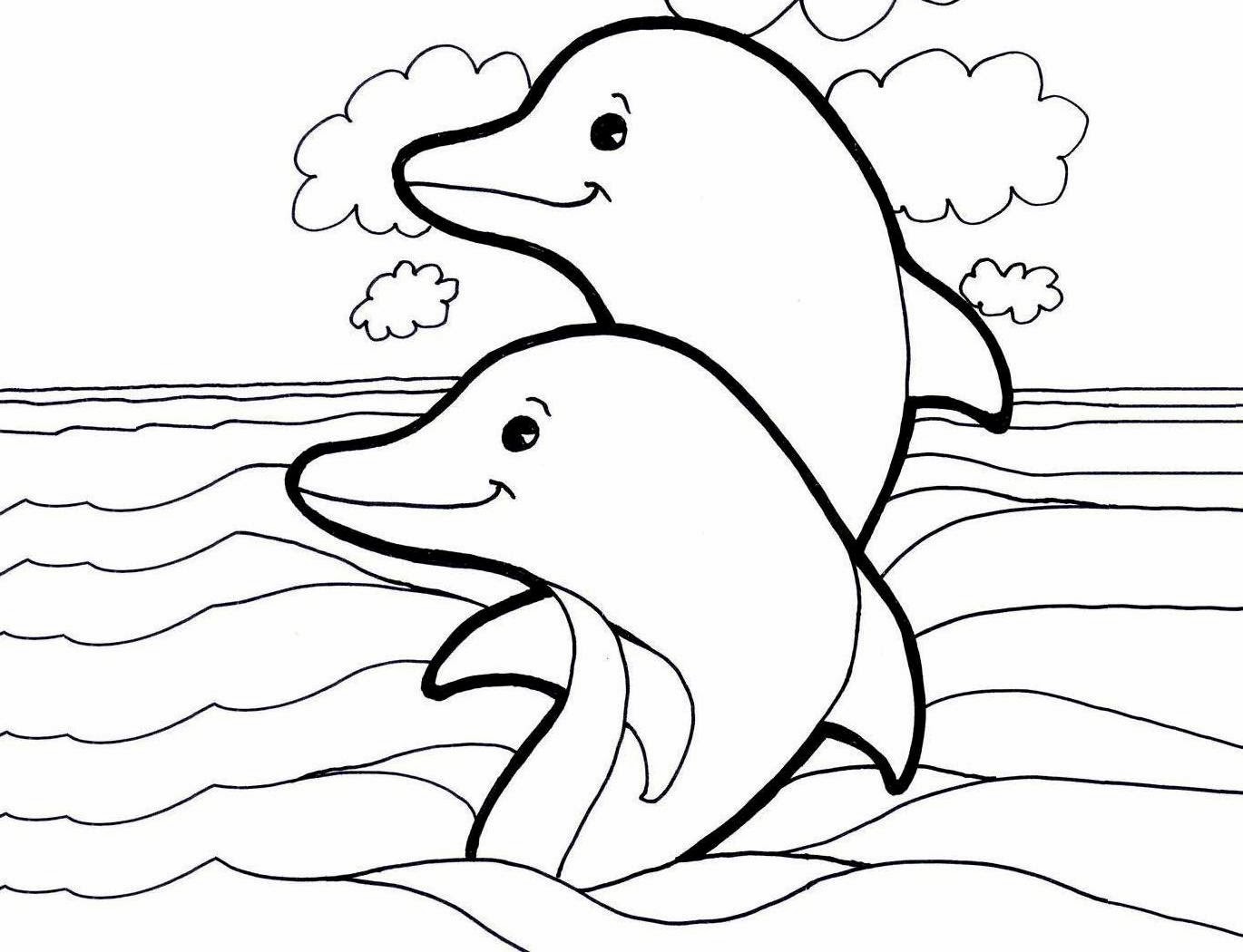 Free Dolphin Drawing Pictures Download Free Clip Art