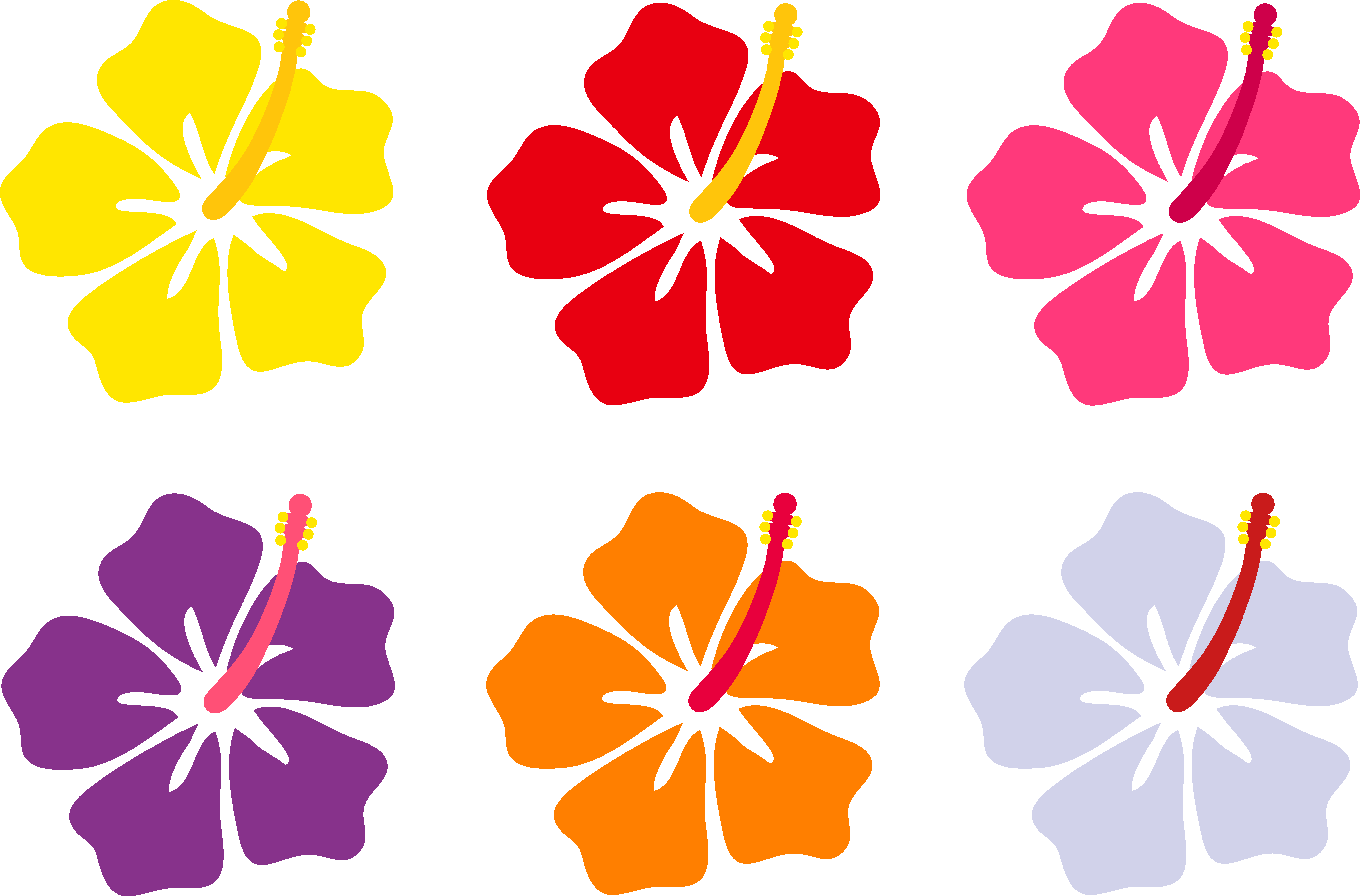 Hibiscus Flowers in Six Colors - Free Clip Art