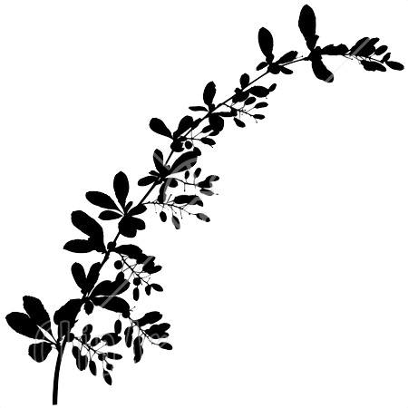 Tree Branch Silhouette - Clipart library