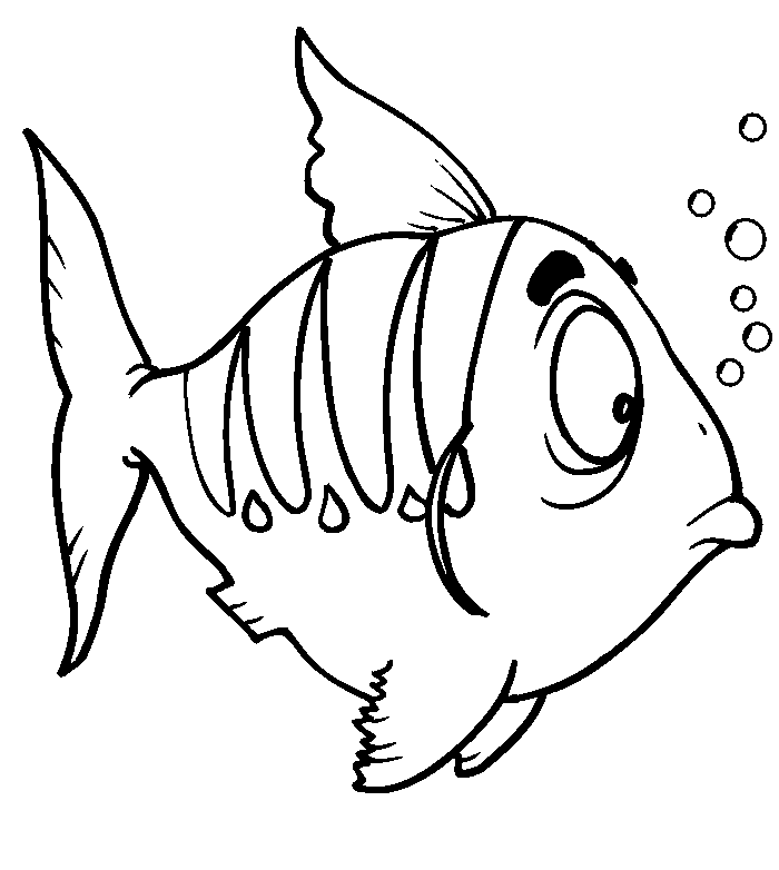 School Of Fish Drawing