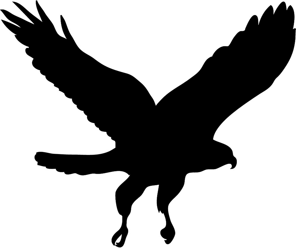 Hawk Mascot Clipart
