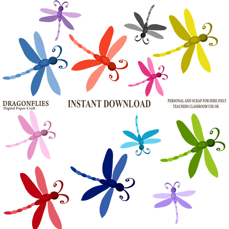 Free Dragonfly Images, Download Free Dragonfly Images png images, Free