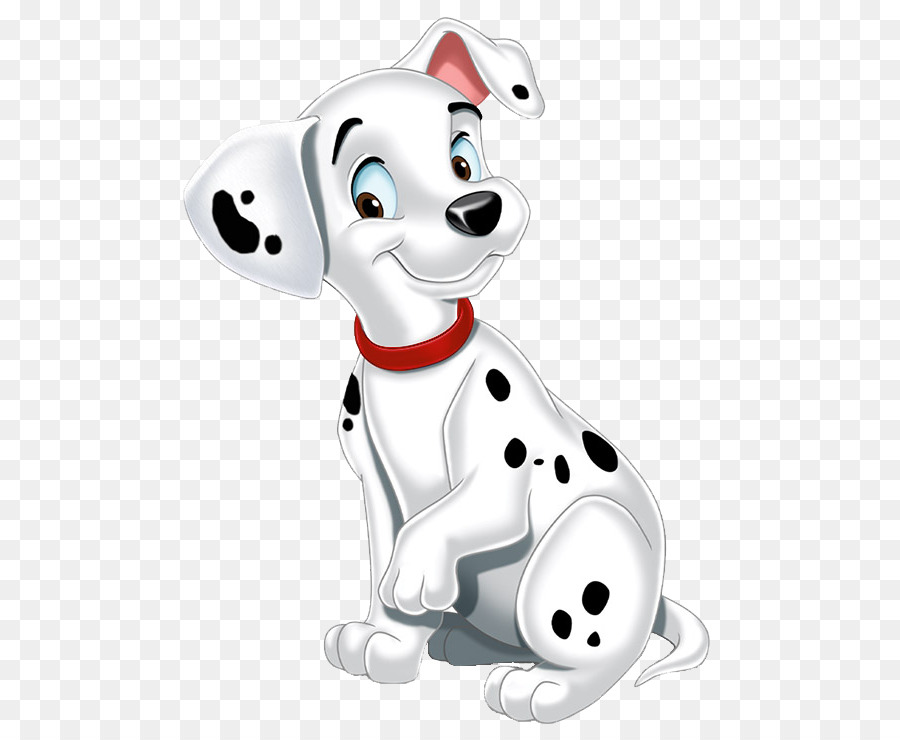 Dalmatian dog The 101 Dalmatians Musical Pongo Perdita Cruella de Vil - others png download - 562*740 - Free Transparent Dalmatian Dog png Download.